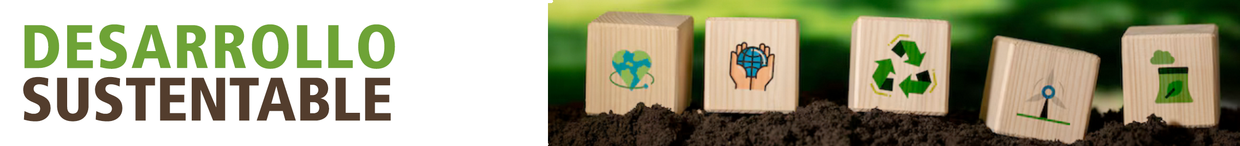 desarrollo-sustentable-02