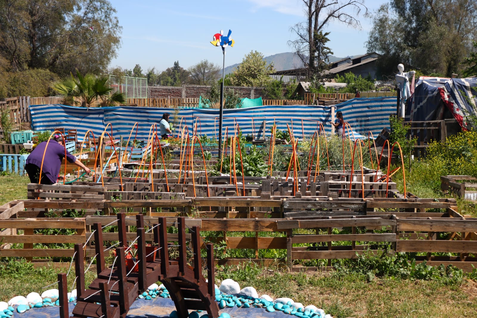 Vecinos y vecinas de Villa Rinconada de Nos plantan y cuidan cultivos en el Huerto Comunitario Pichimahuida Lelikelen.