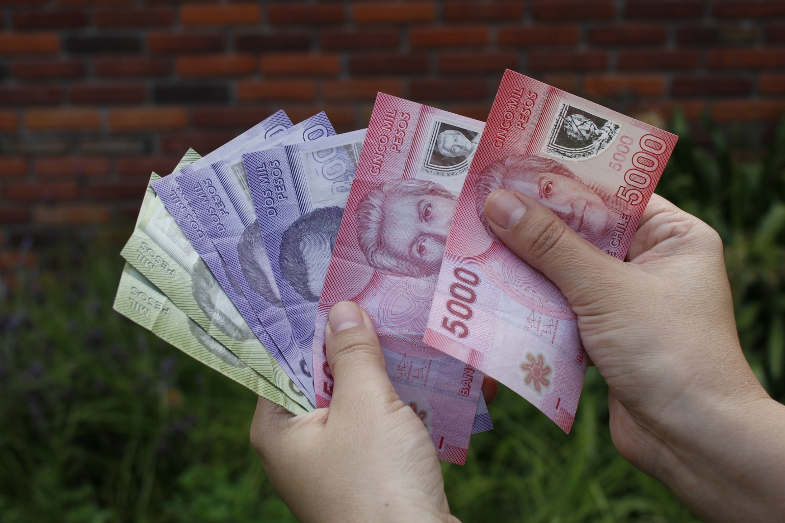 Mano sosteniendo billetes chilenos, representando el apoyo económico del Subsidio Único Familiar en San Bernardo.