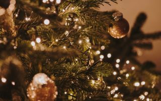 Árbol de Navidad iluminado en actividad municipal