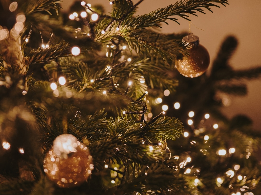 Árbol de Navidad iluminado en actividad municipal