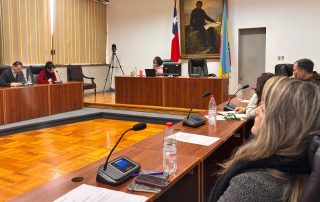 119 Sesión Consejo de Seguridad